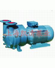 2BV型水環(huán)式真空泵